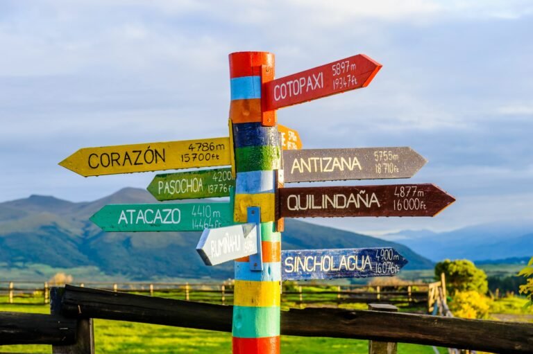 5 Reasons You Should Be Using Choice Boards in Your Classroom